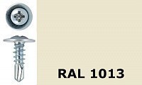 Саморез-клоп с буром 4,2х19 окрашенный, RAL 1013 (жемчужно-белый)